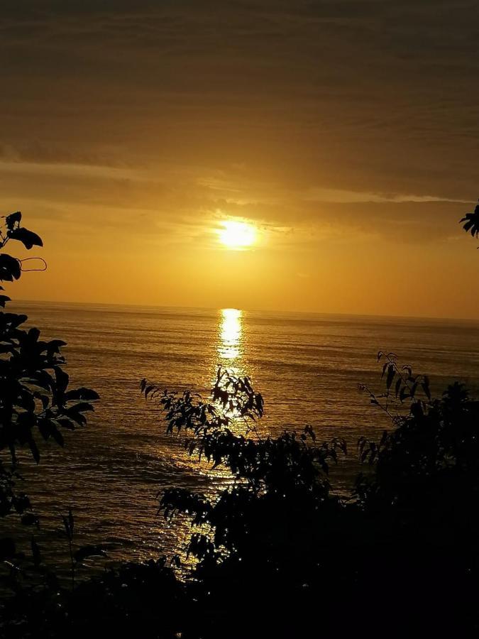 Reserva Natural Selva Mojada Нуки Экстерьер фото